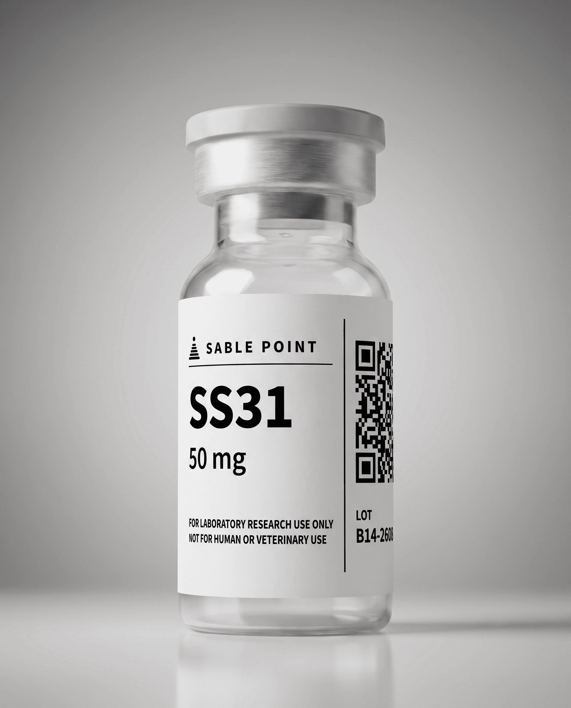 SS31